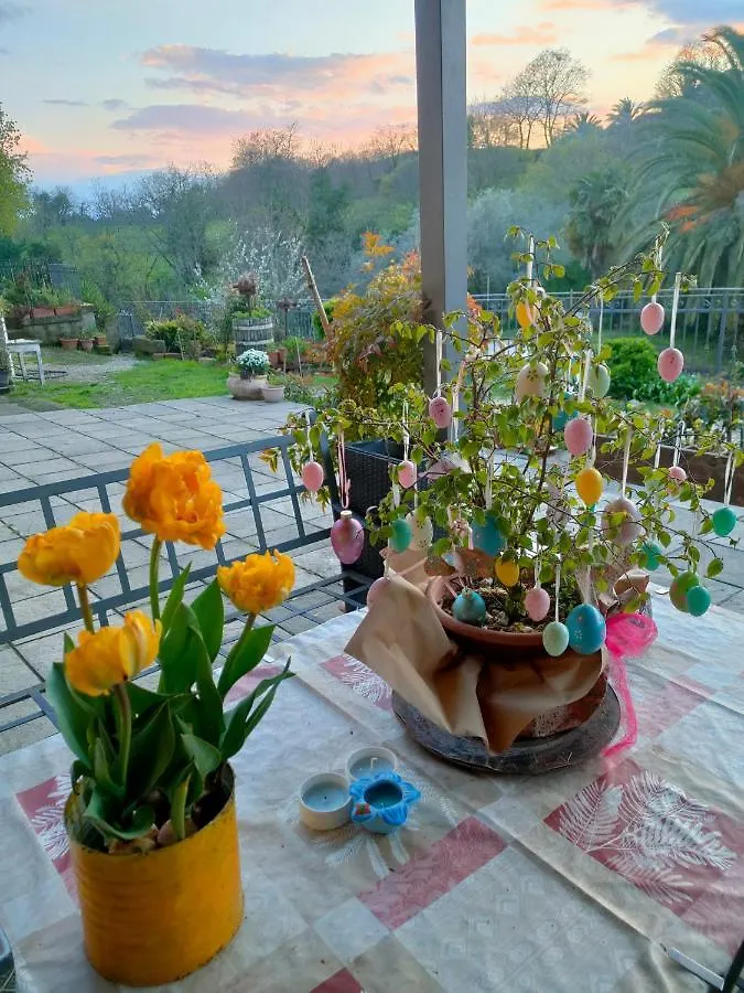 Bio Agriturismo Il Cavone Sovana Farm stay