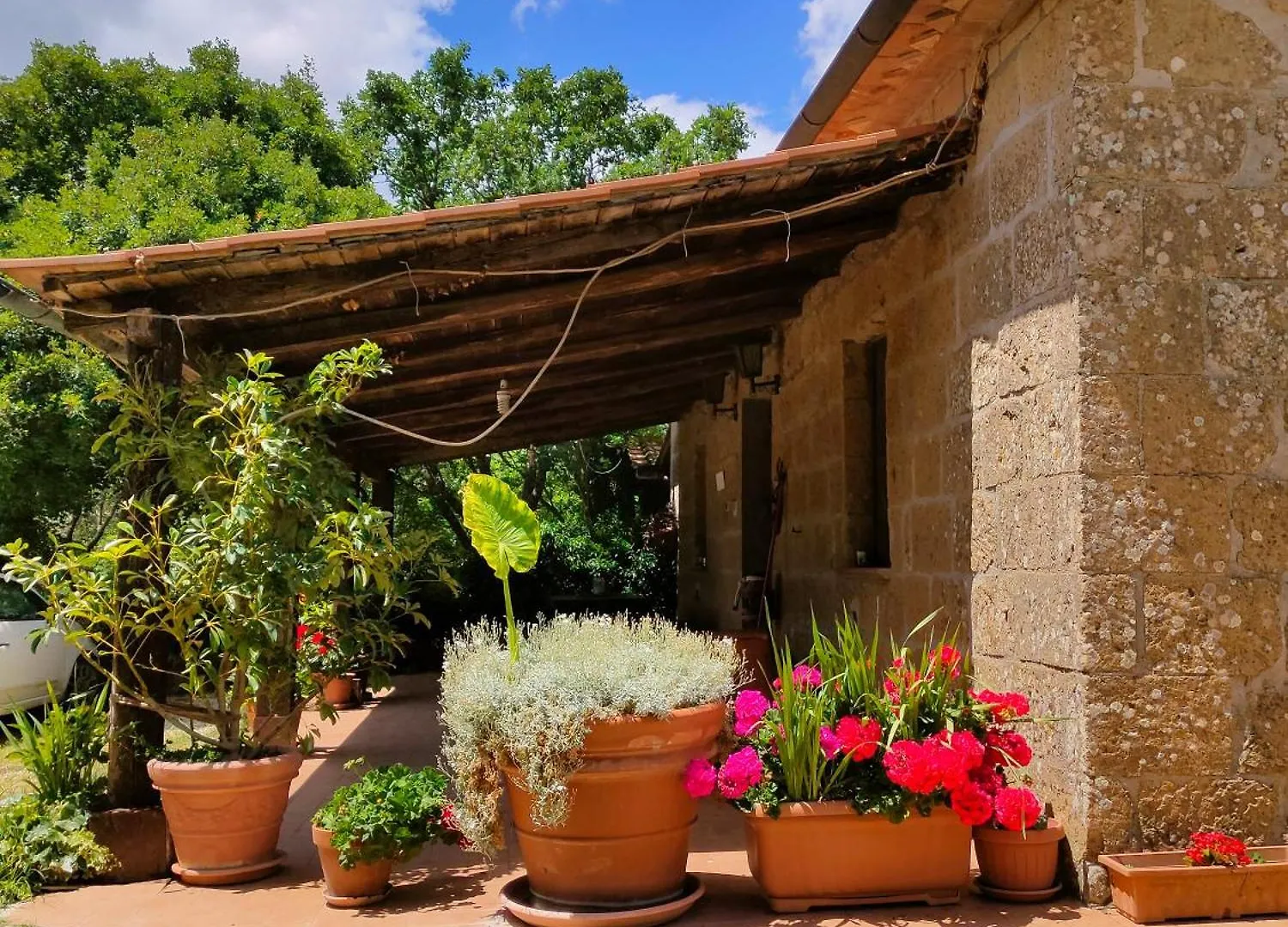 Farm stay Bio Agriturismo Il Cavone Sovana