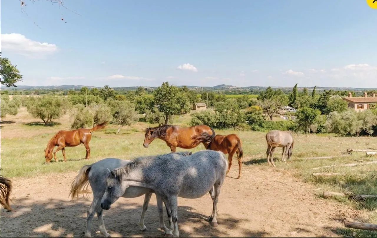 Bio Agriturismo Il Cavone Sovana Farm stay