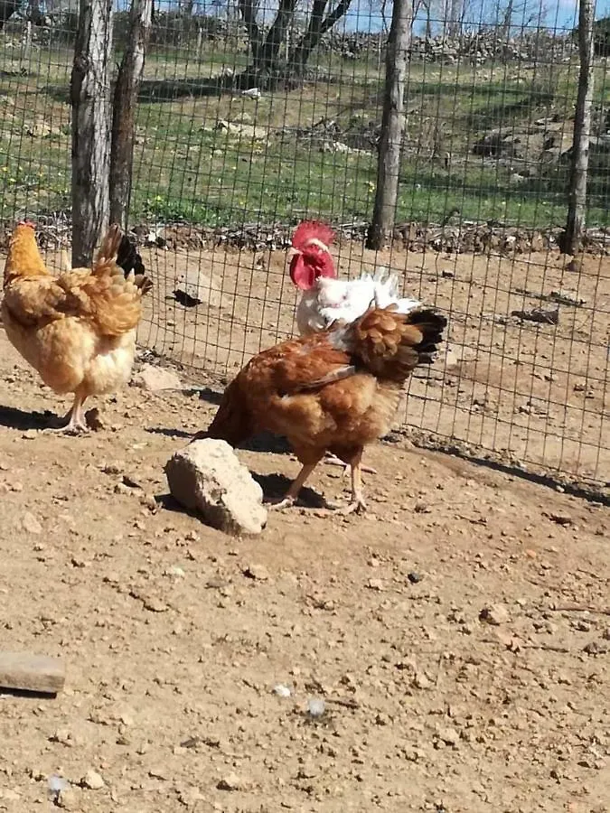 Bio Agriturismo Il Cavone Sovana Farm stay